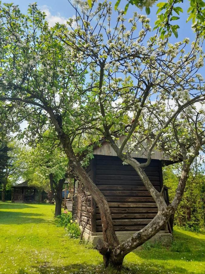 Agroturystyka Stokrotka Рыманув-Здруй Экстерьер фото