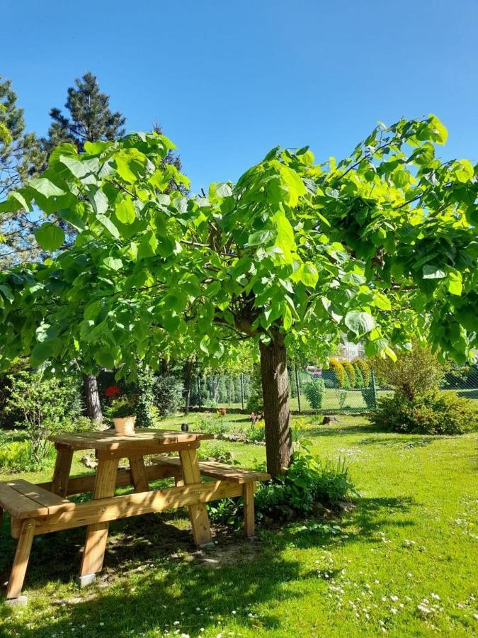 Agroturystyka Stokrotka Рыманув-Здруй Экстерьер фото